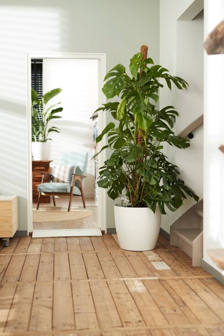 brussels round wheels 40cm white